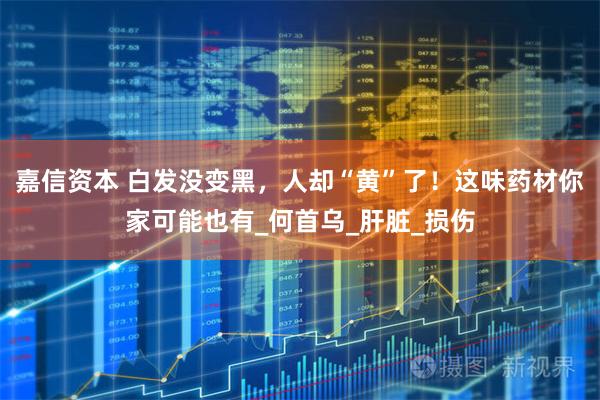 嘉信资本 白发没变黑，人却“黄”了！这味药材你家可能也有_何首乌_肝脏_损伤