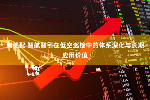 淘优配 智航智引在低空巡检中的体系深化与长期应用价值
