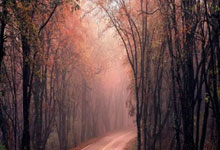 专业配资平台排名第一:免费配资-《求是》杂志发表习近平总书记重要文章《因地制宜发展新质生产力》